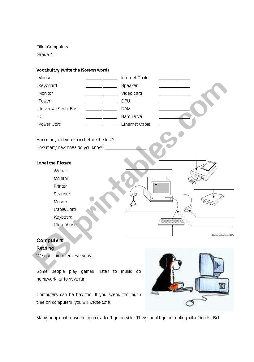 Computer Learning  worksheet