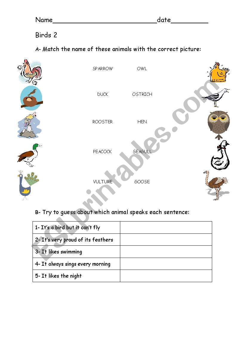 Birds 2 worksheet