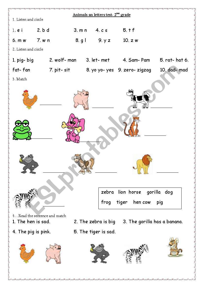  animals- 2nd grade worksheet