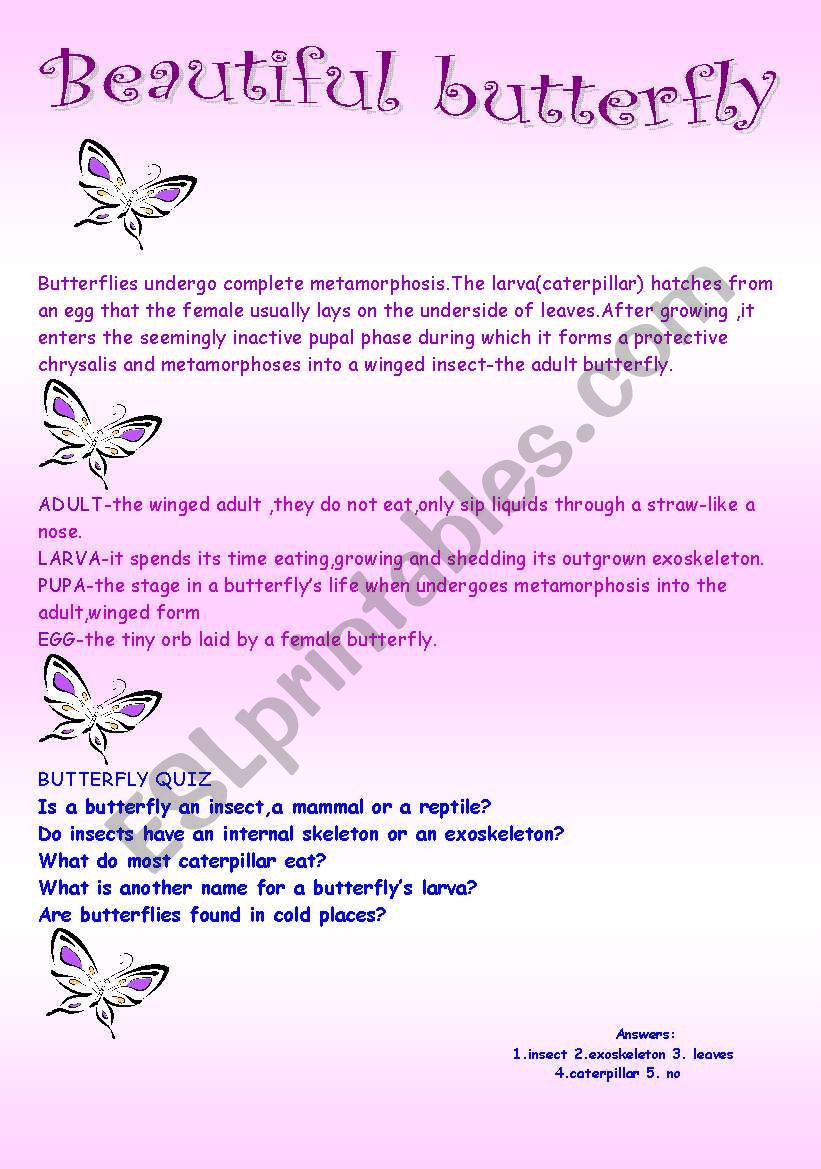 Spring insects set 1 worksheet