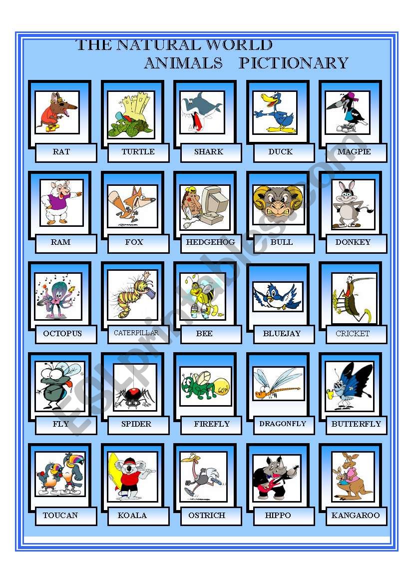The natural word - Animals Pictionary