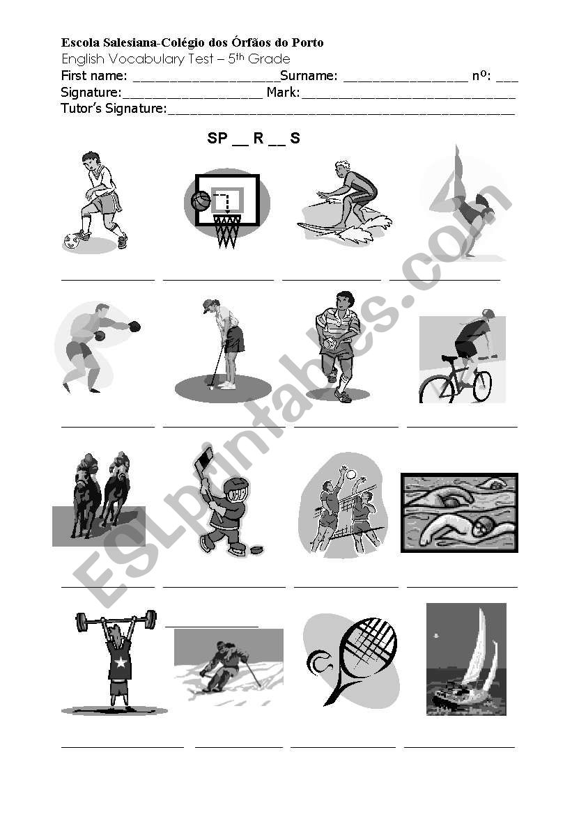 Sports vocabulary test  worksheet