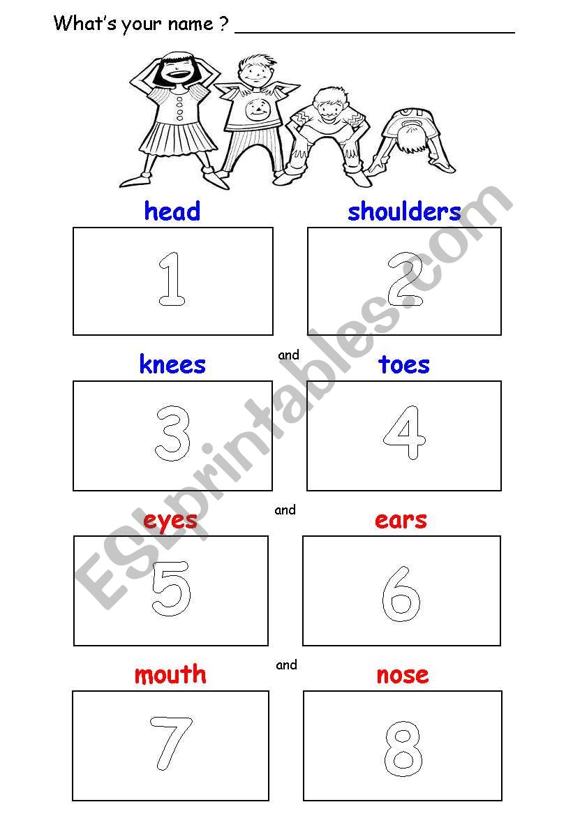 Head, Shoulders, Knees & Toes - Cut & Paste