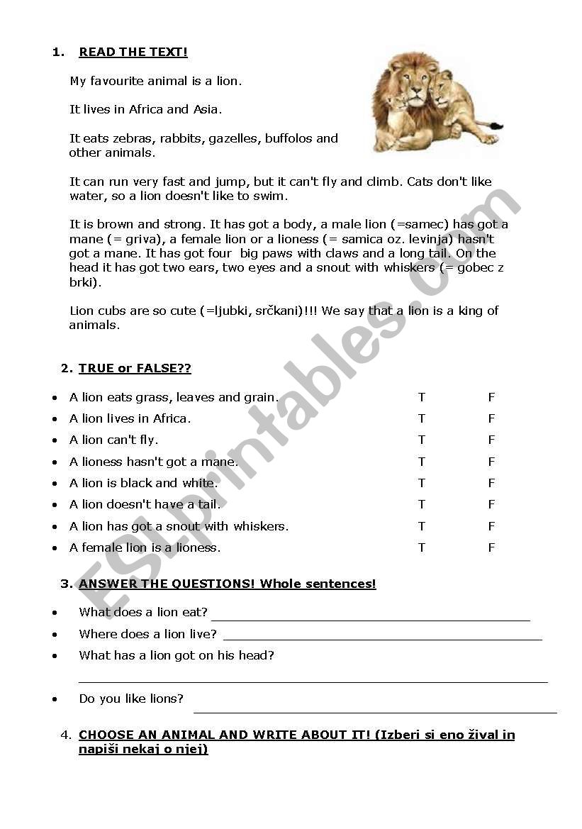 A lion - present simple worksheet