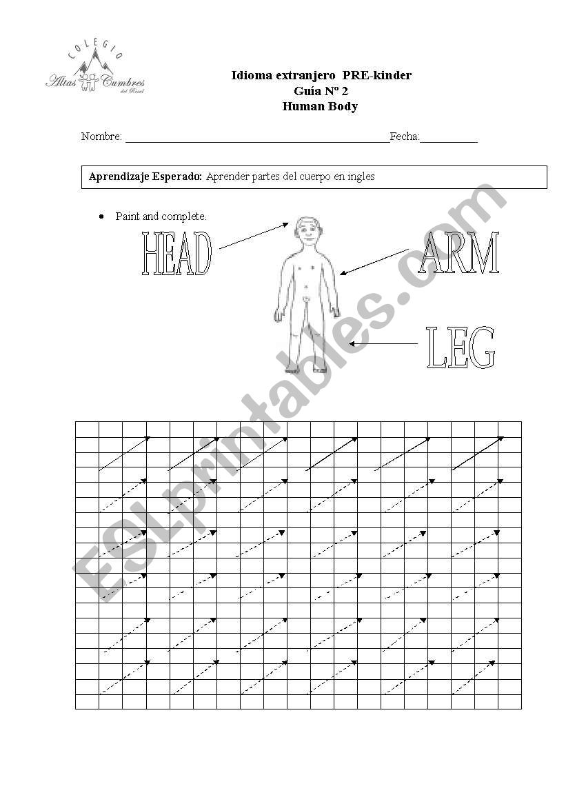 human body worksheet