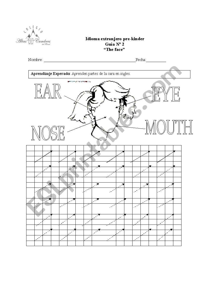 face worksheet