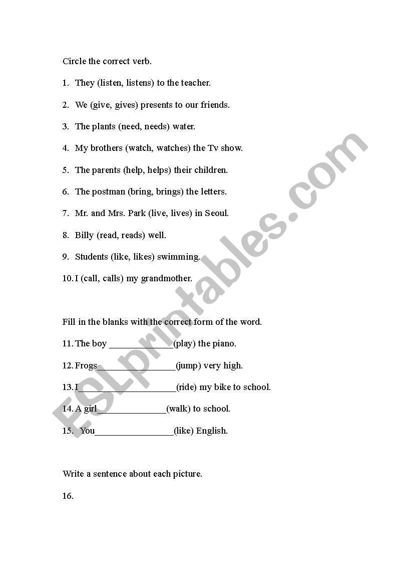 present simple worksheet