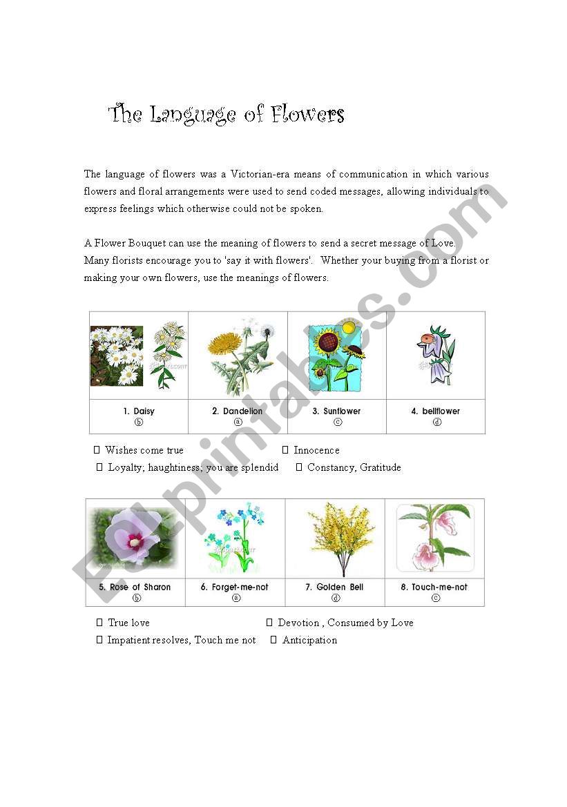 The Language of Flowers (2pages)