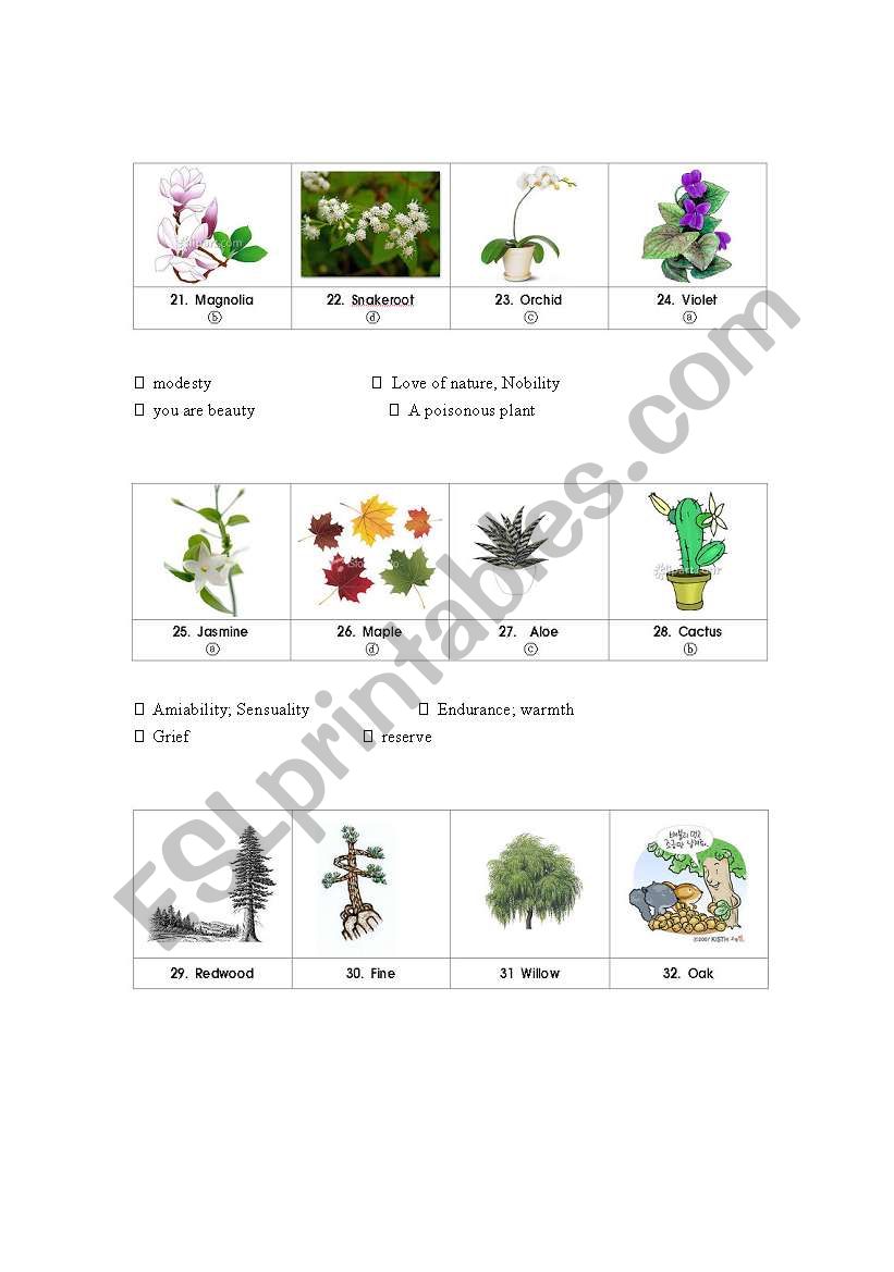 The Language of Flowers (2) worksheet