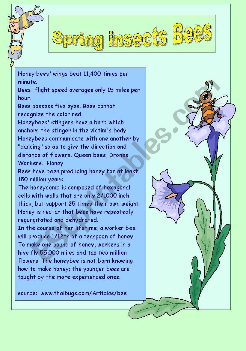 Spring insects set 2 BEES worksheet