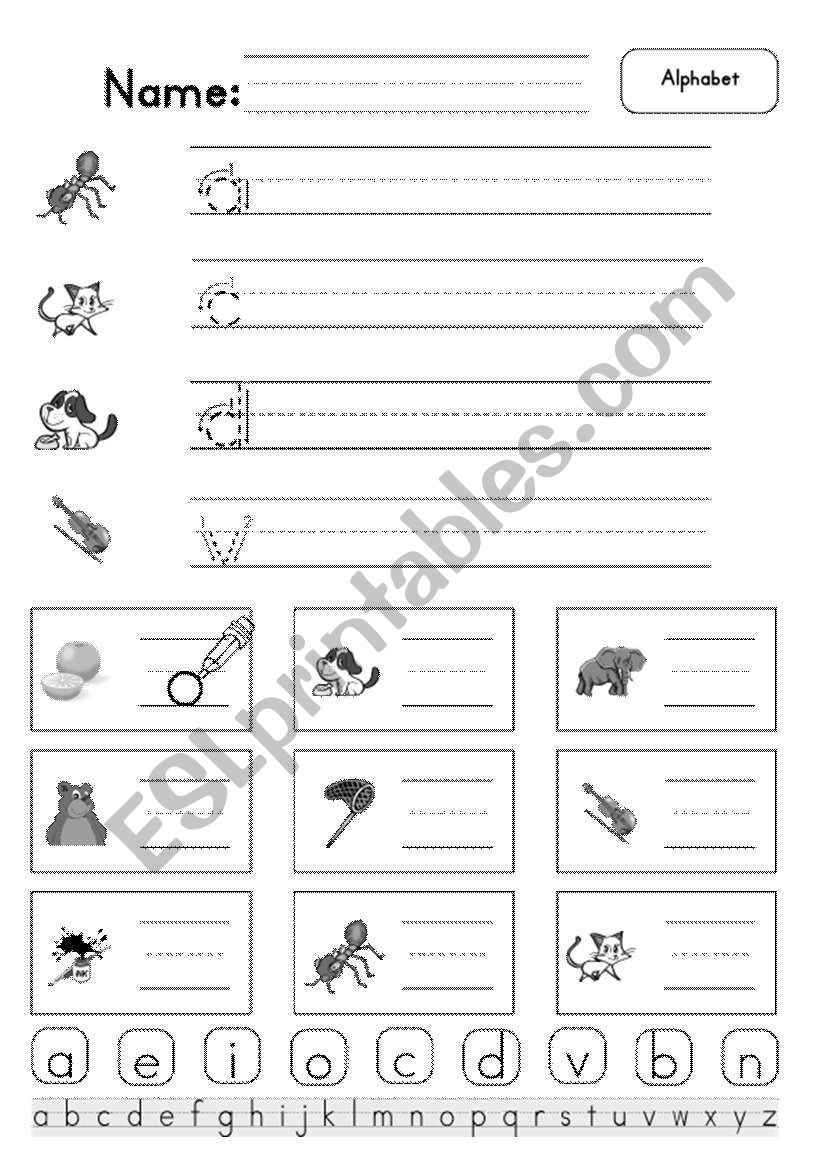 Alphabet a,c,d,v worksheet