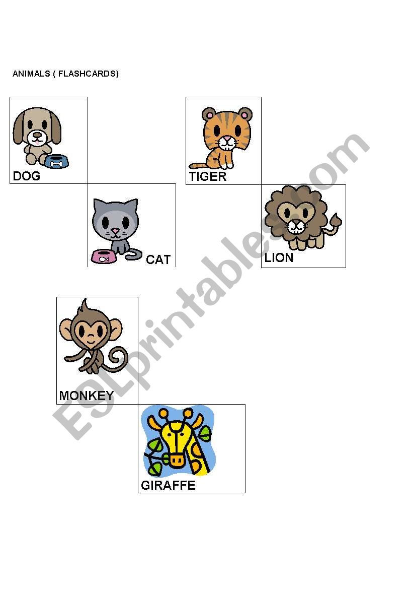 animals worksheet