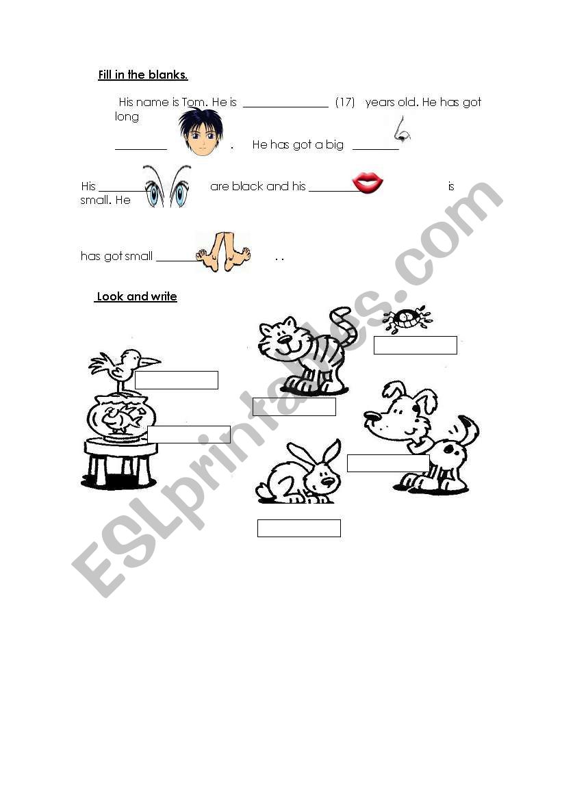 Vocabulary worksheet