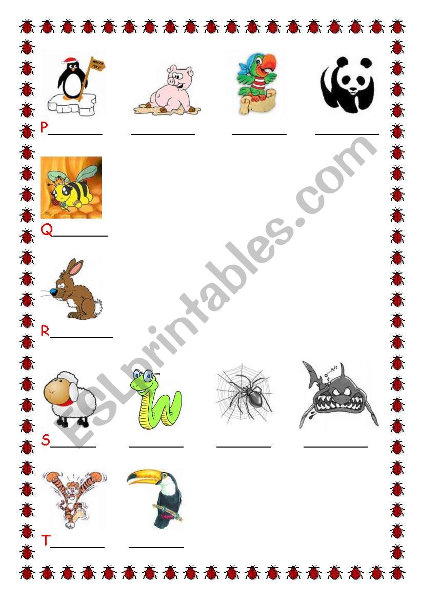 THE ALPHABET2 worksheet