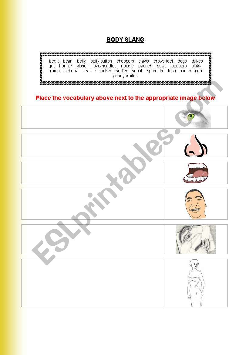 Body Slang worksheet