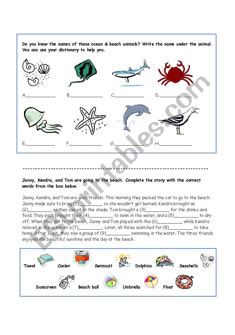 Beach and Ocean worksheet worksheet