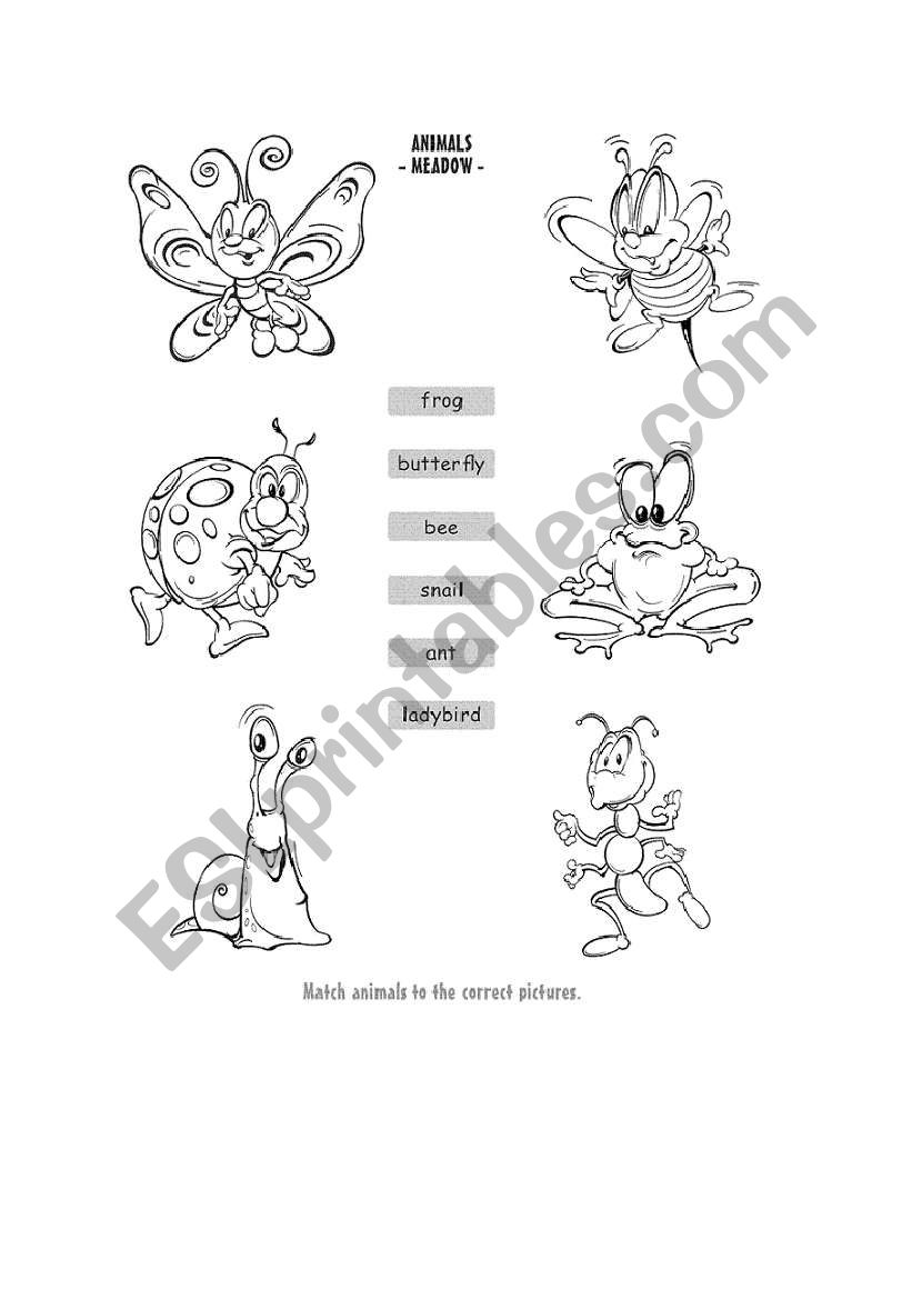 animals worksheet