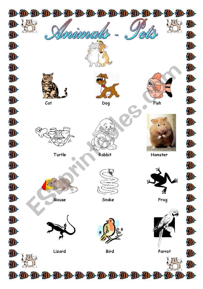 Pets Pictionary worksheet