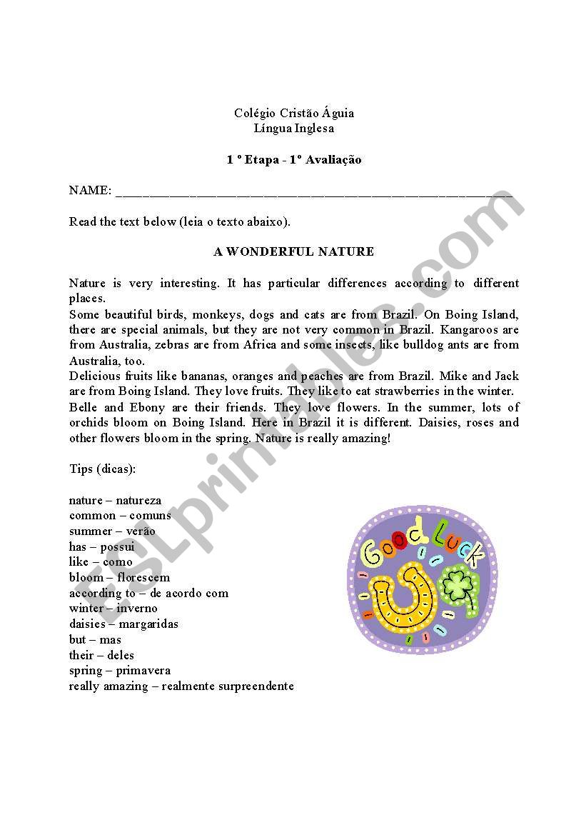 verb to be exam worksheet