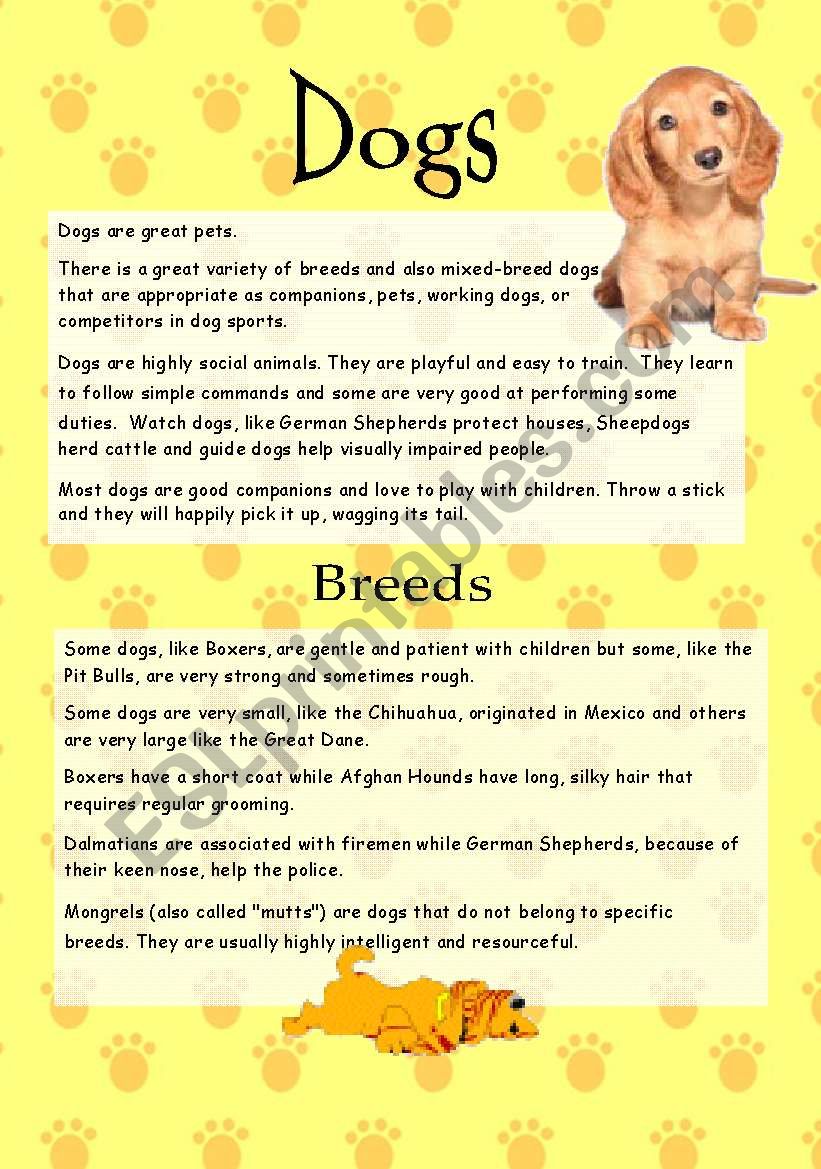 Dogs - Reading Comprehension worksheet