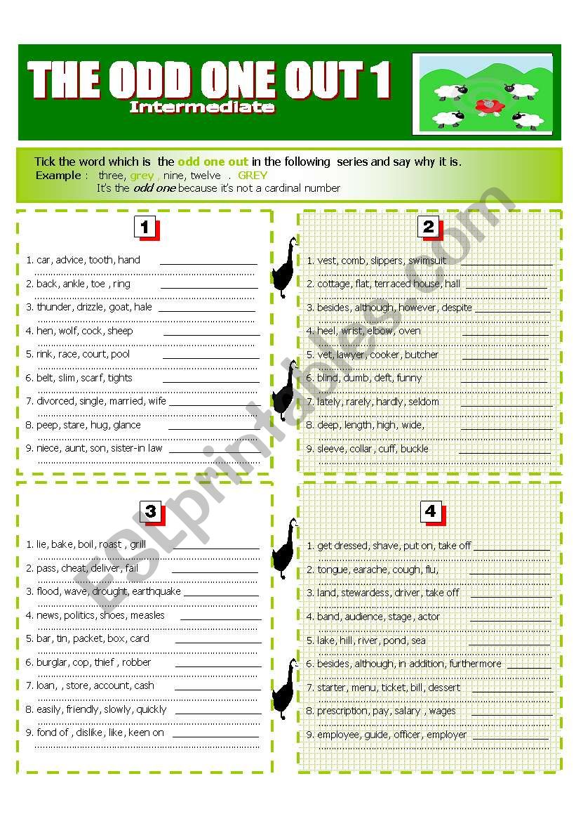  THE ODD ONE OUT 1 Intermediate level