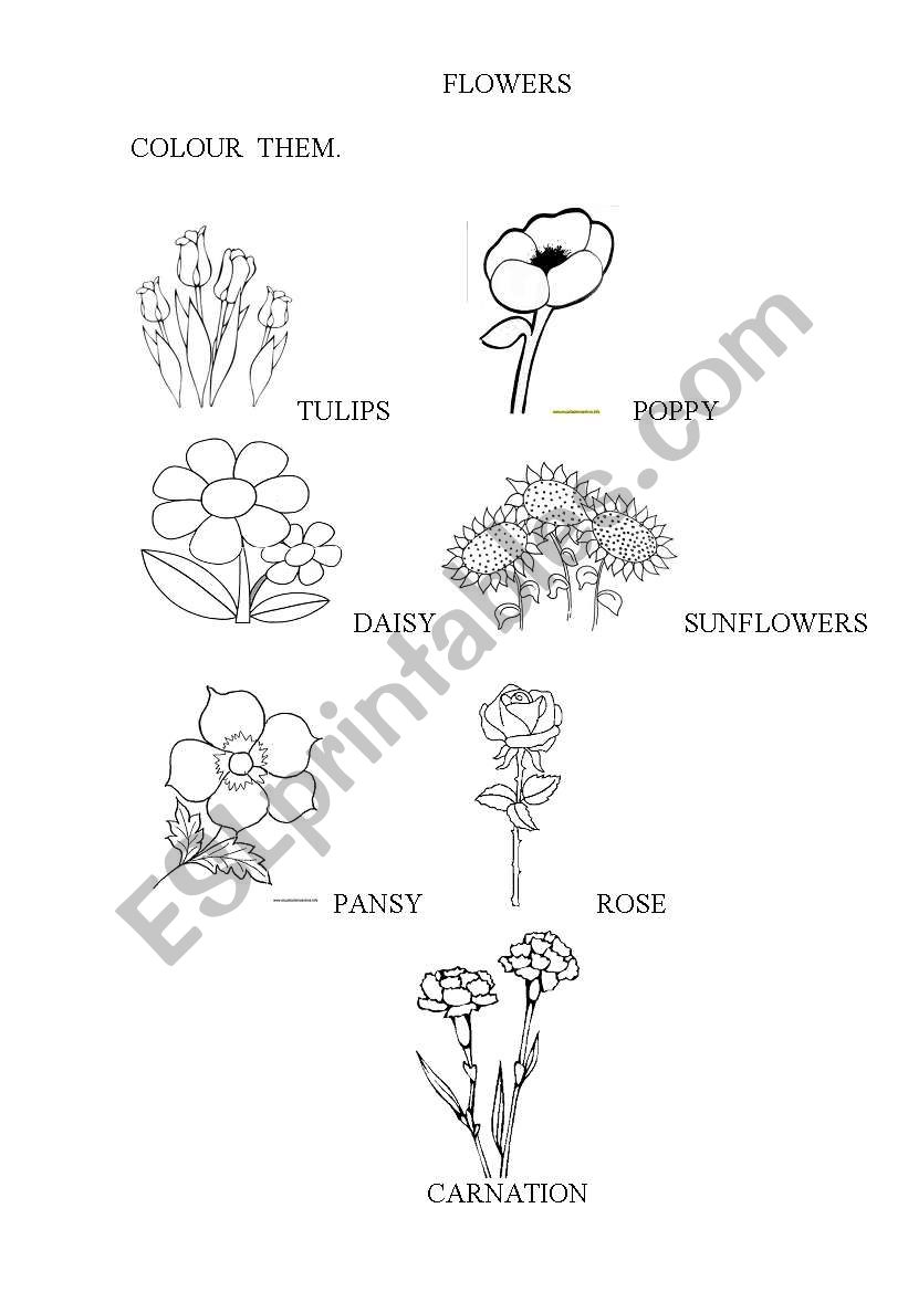                 FLOWERS worksheet