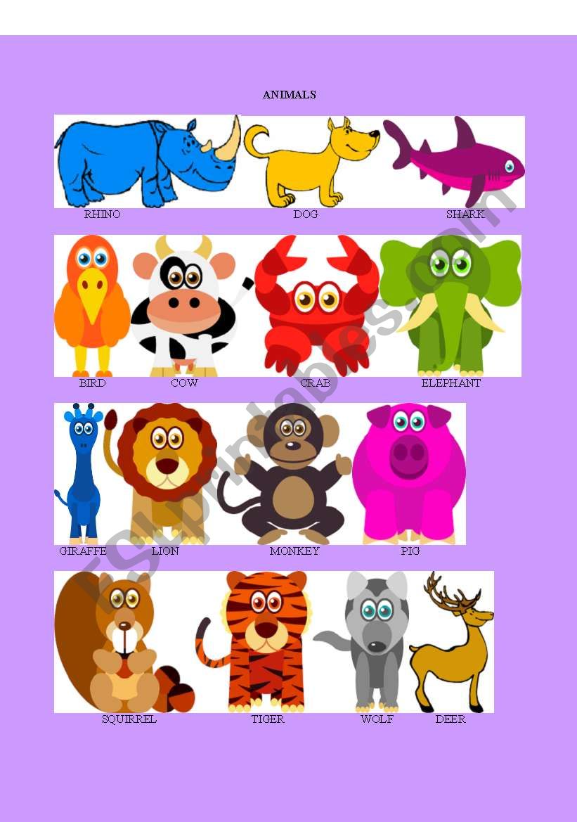 animals flash card with the name of the animals part 1