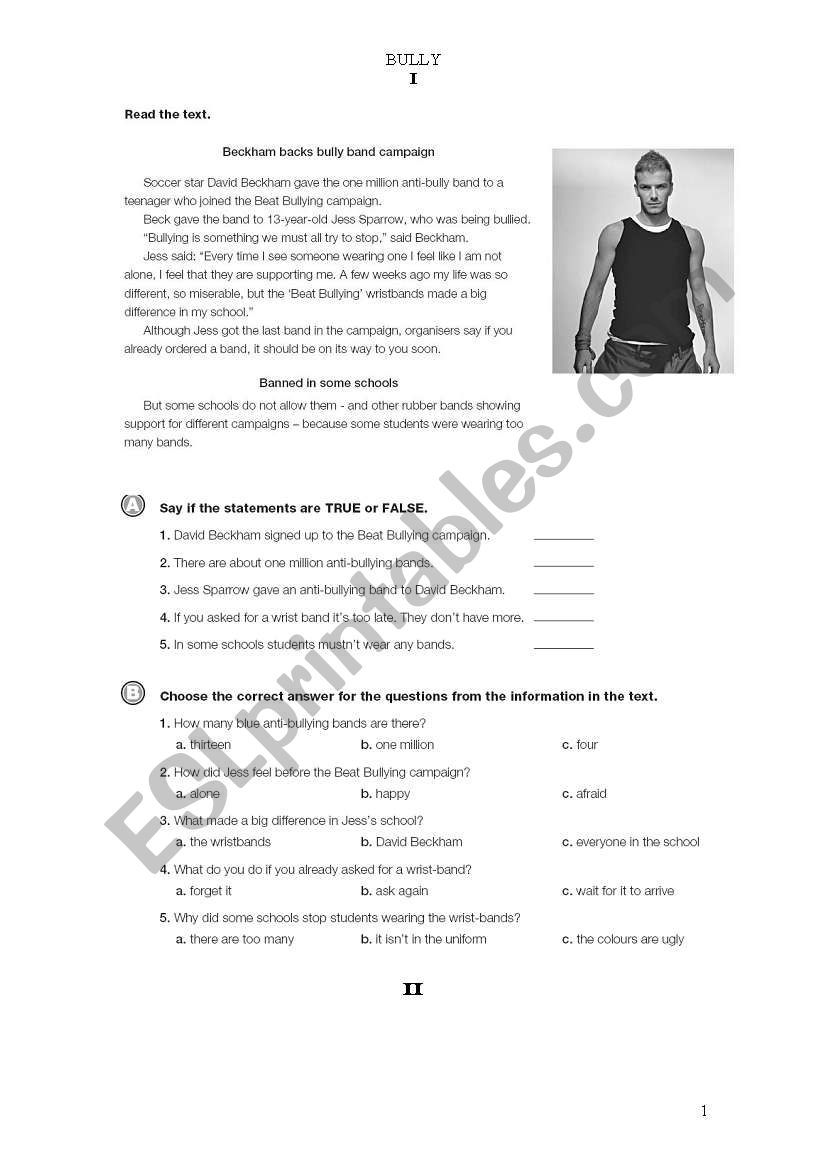 BULLYING worksheet