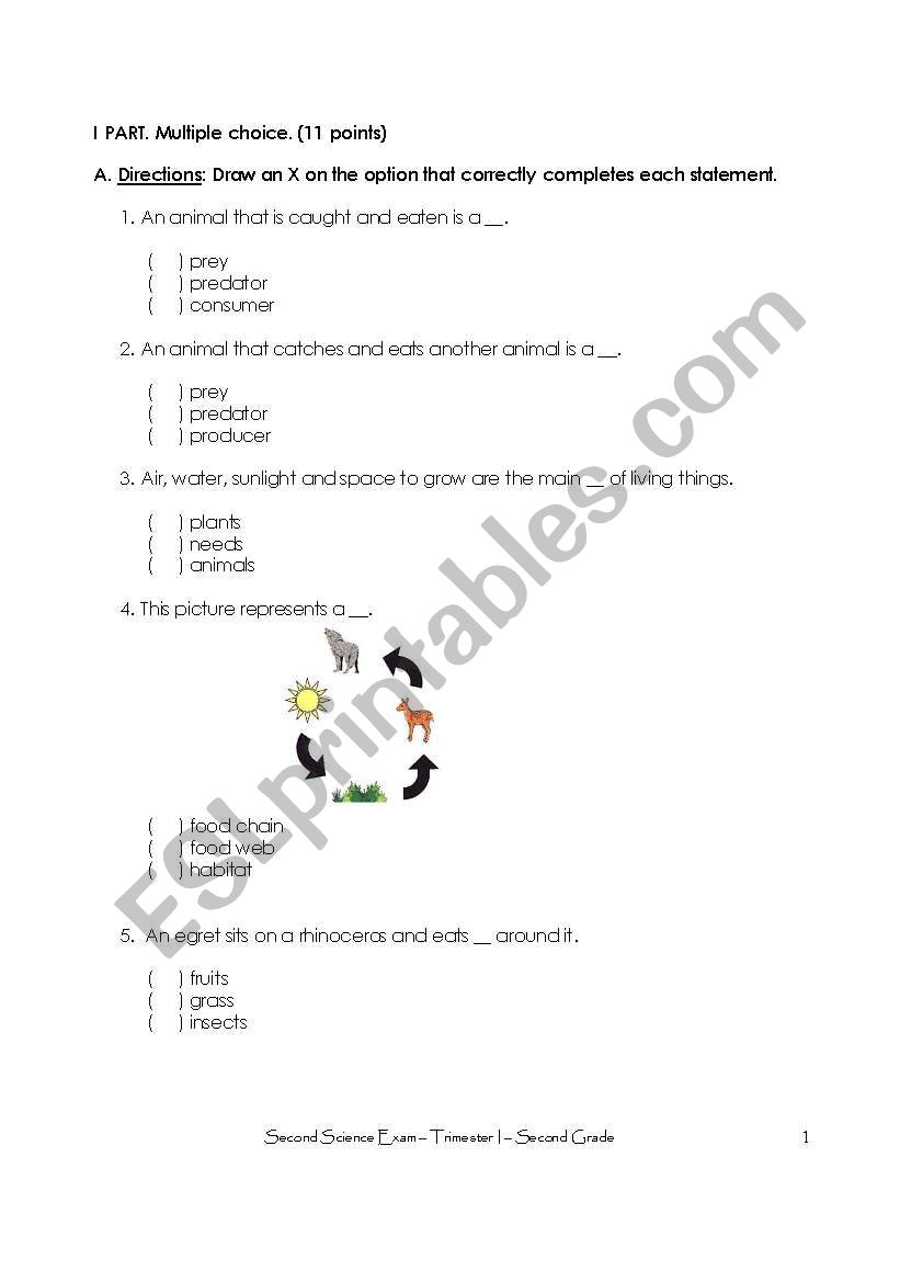 Science Exam worksheet