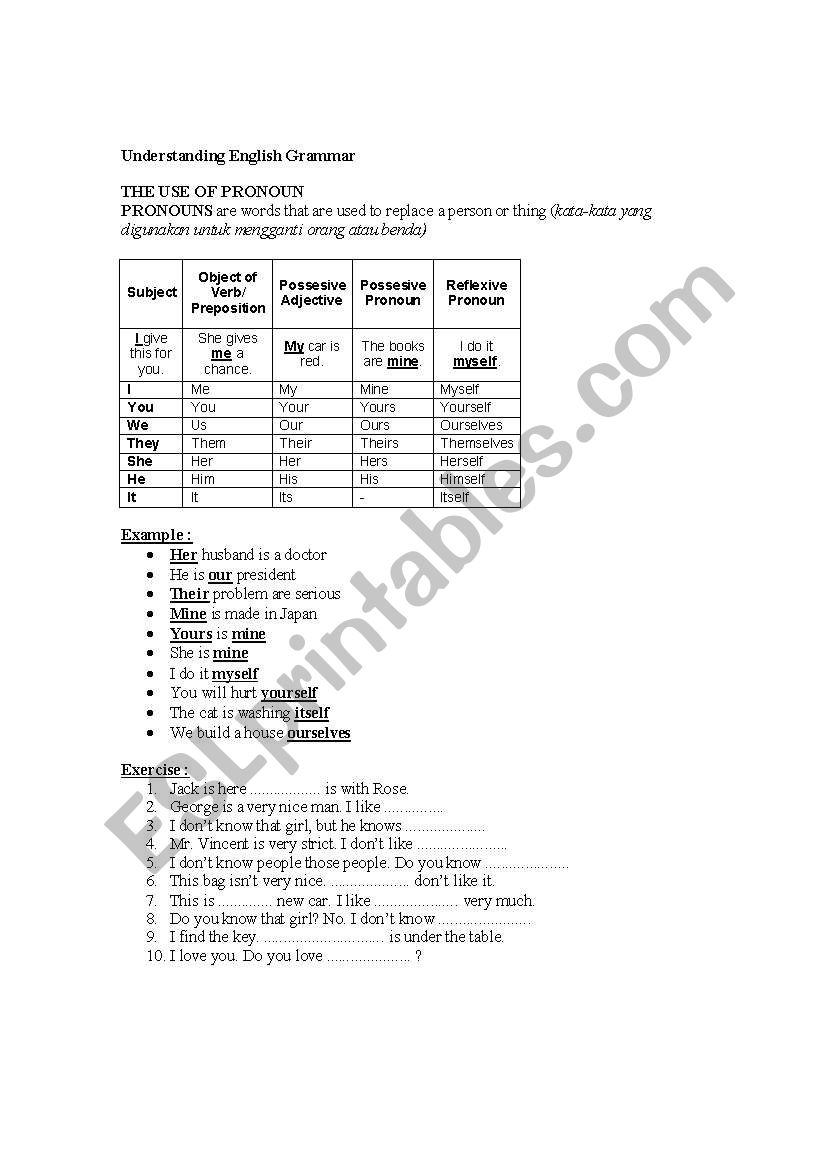 Pronoun worksheet