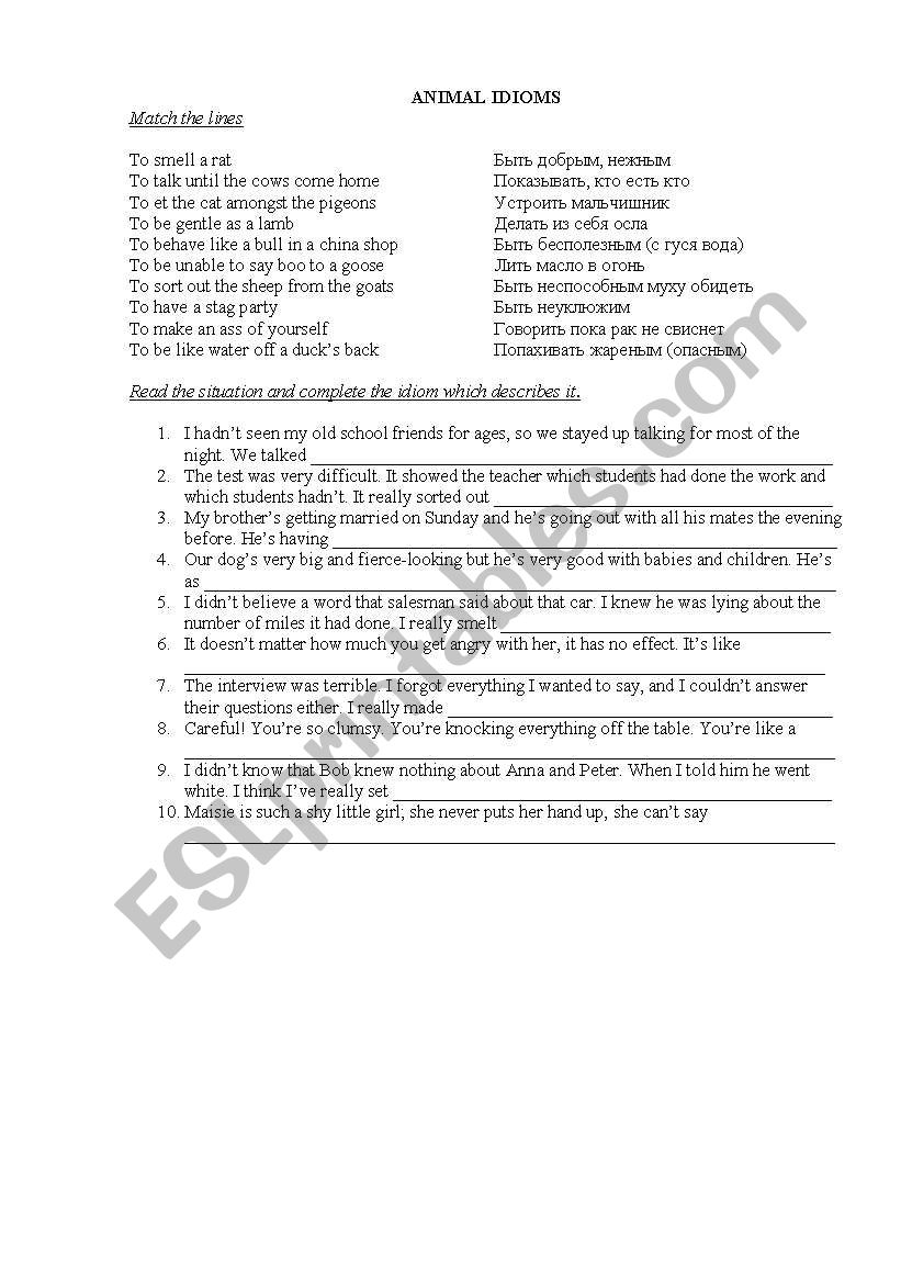 Animal idioms worksheet