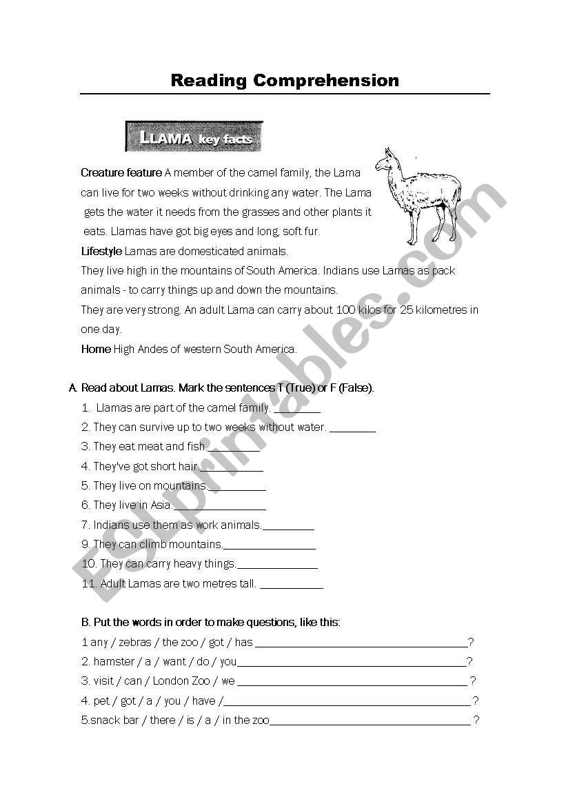 Readind Comprehension worksheet