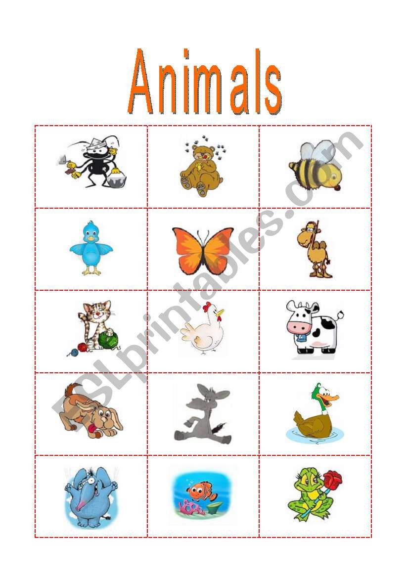 ANIMALS worksheet