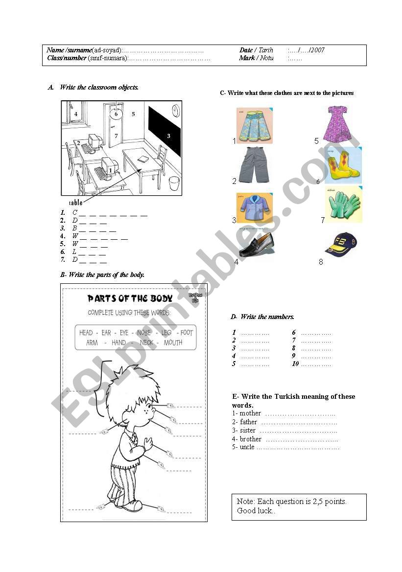 body parts worksheet