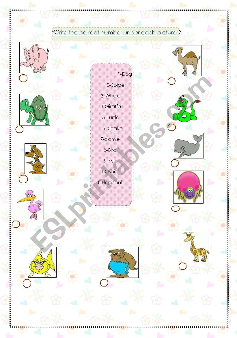 funny animals worksheet