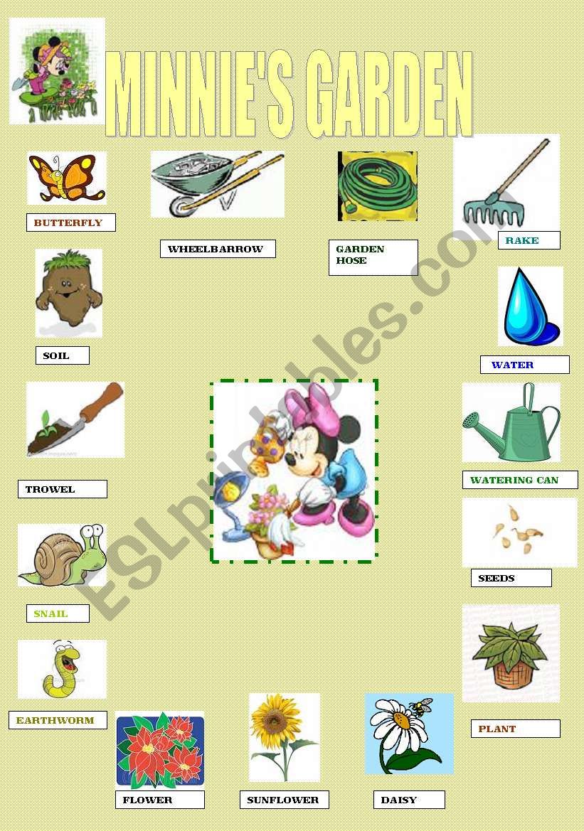 minnies garden dictionary worksheet