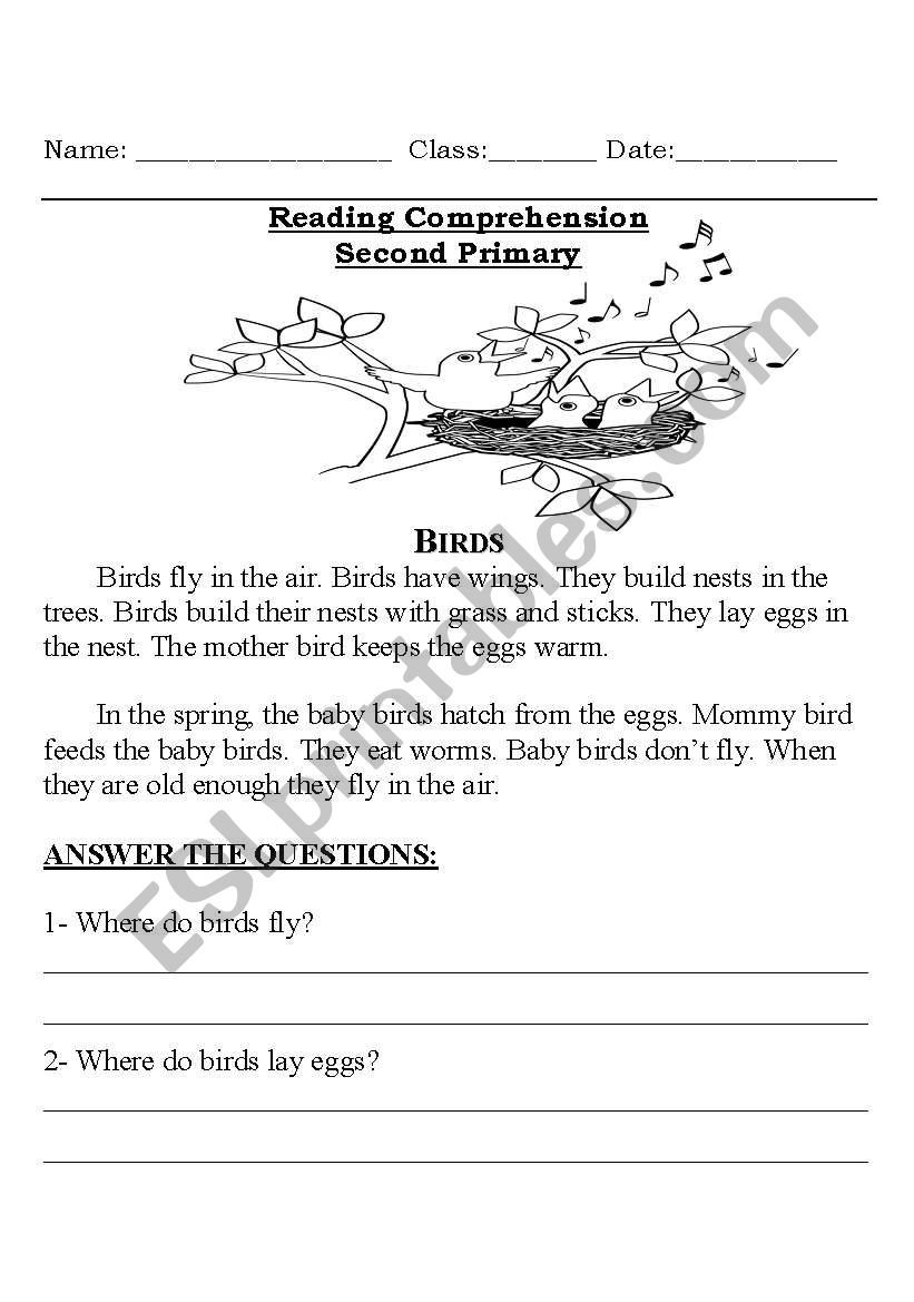 Birds worksheet