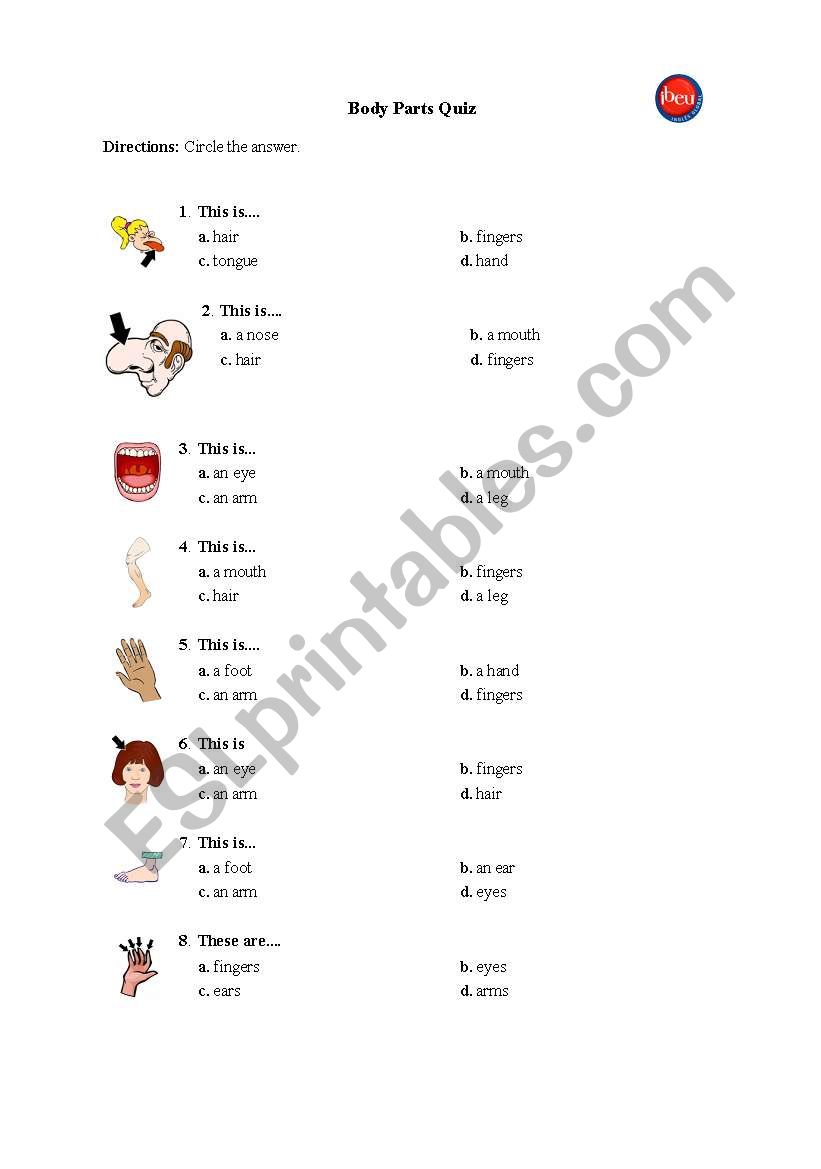 body_quiz worksheet