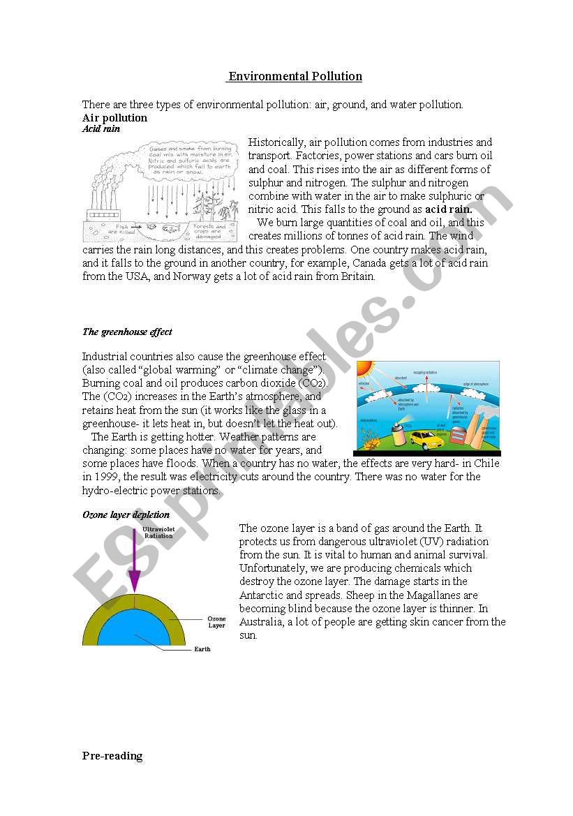 Environmental Pollution worksheet