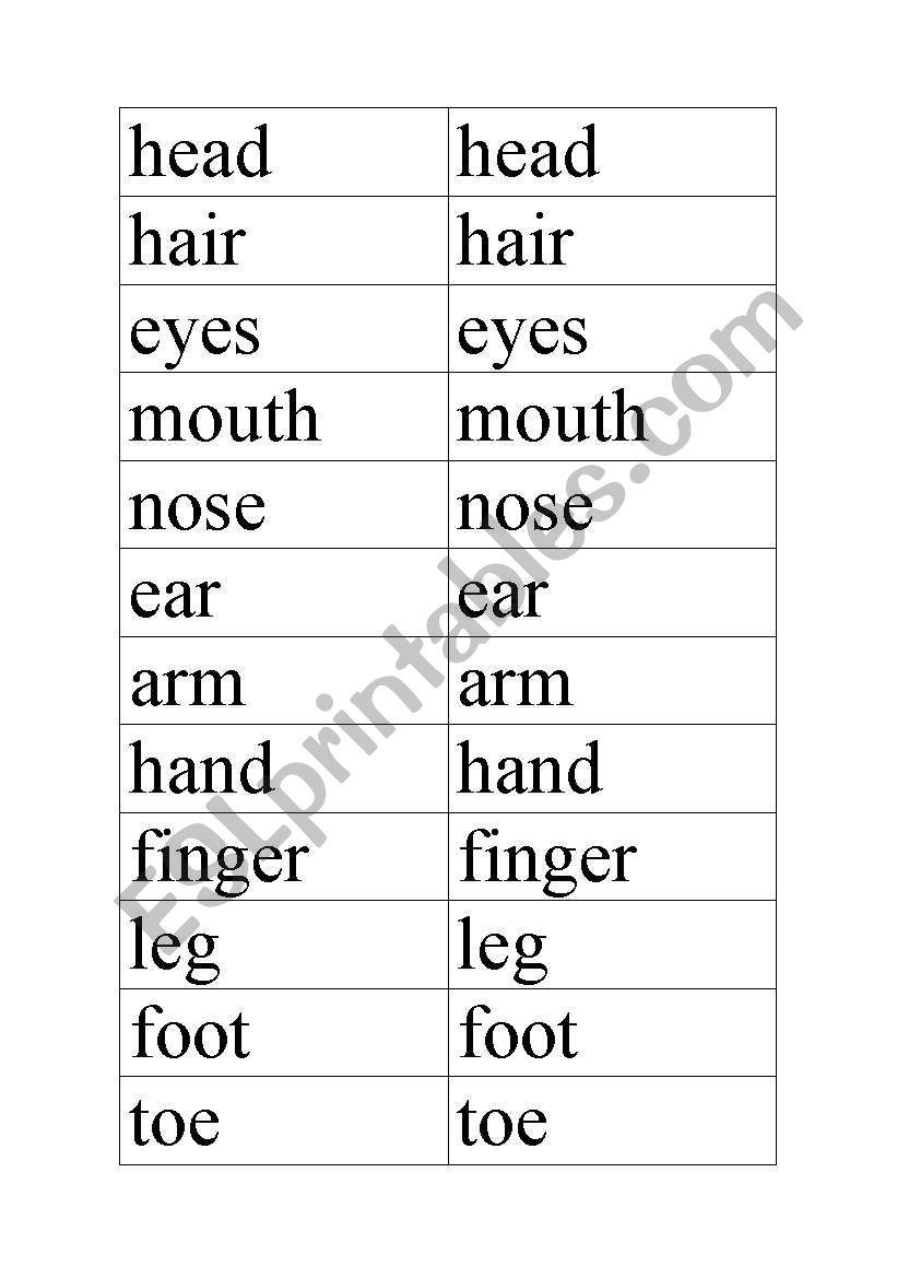 Body parts worksheet