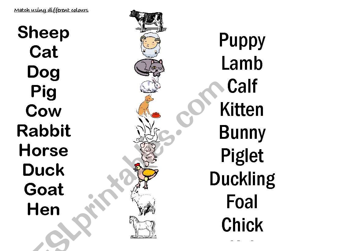 ANIMALS AND BABY ANIMALS worksheet