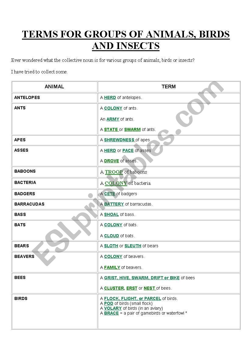 Terms for groups of animals, birds and insects