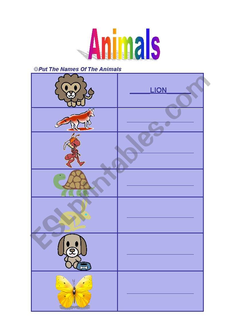 Animals worksheet