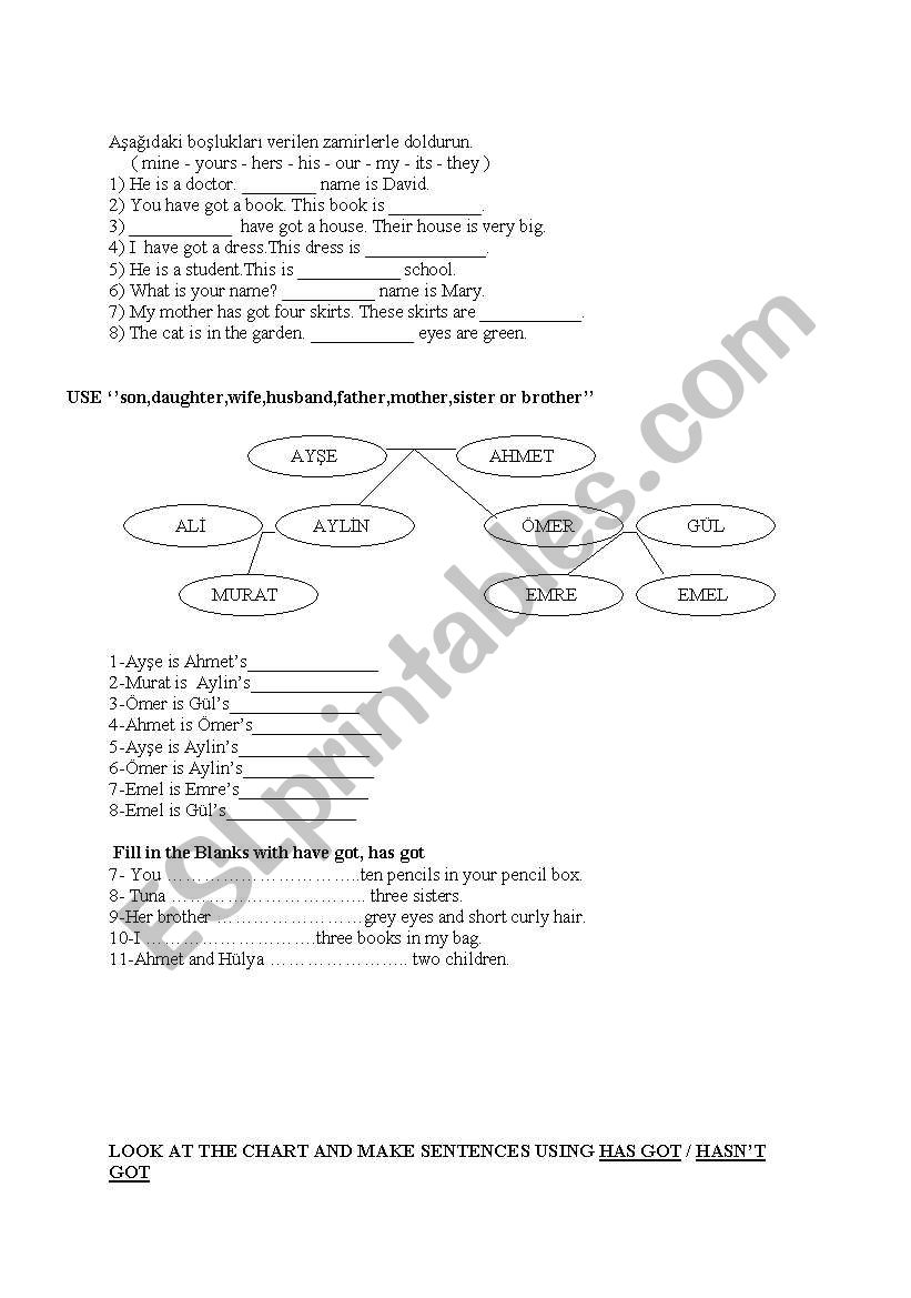 simple present / whose worksheet
