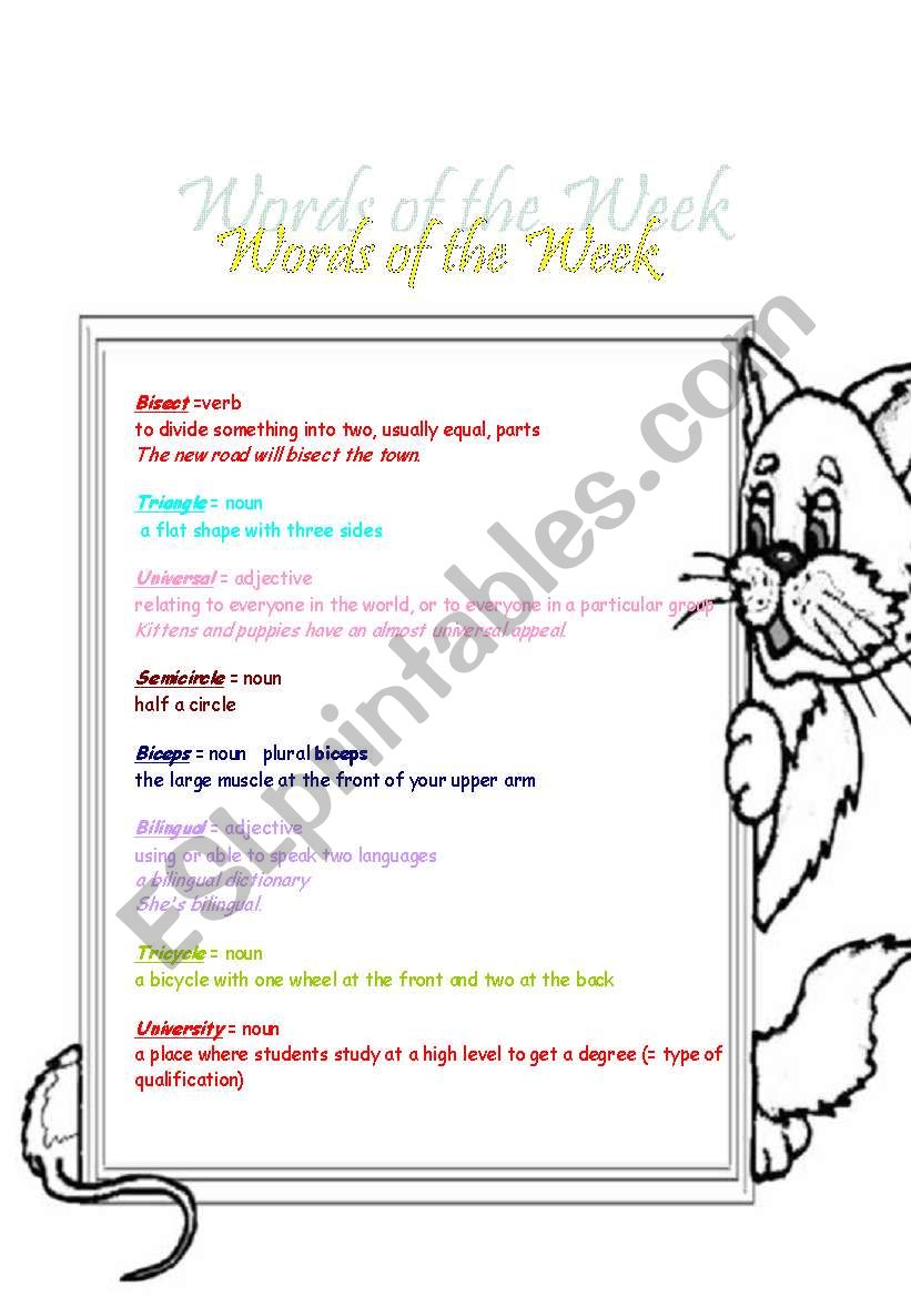words worksheet