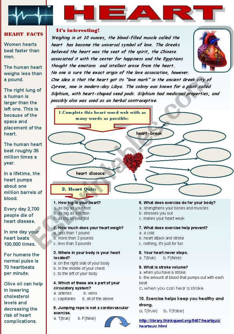 HEART! -  VOCABULARY AND READING COMPREHENSION SET FOR INTERMEDIATE AND ADVANCED STUDENTS (4 pages + answer keys) (Interesting facts about heart, heart quiz, reading comprehension article - heart anatomy with after-reading activities + heart idioms)
