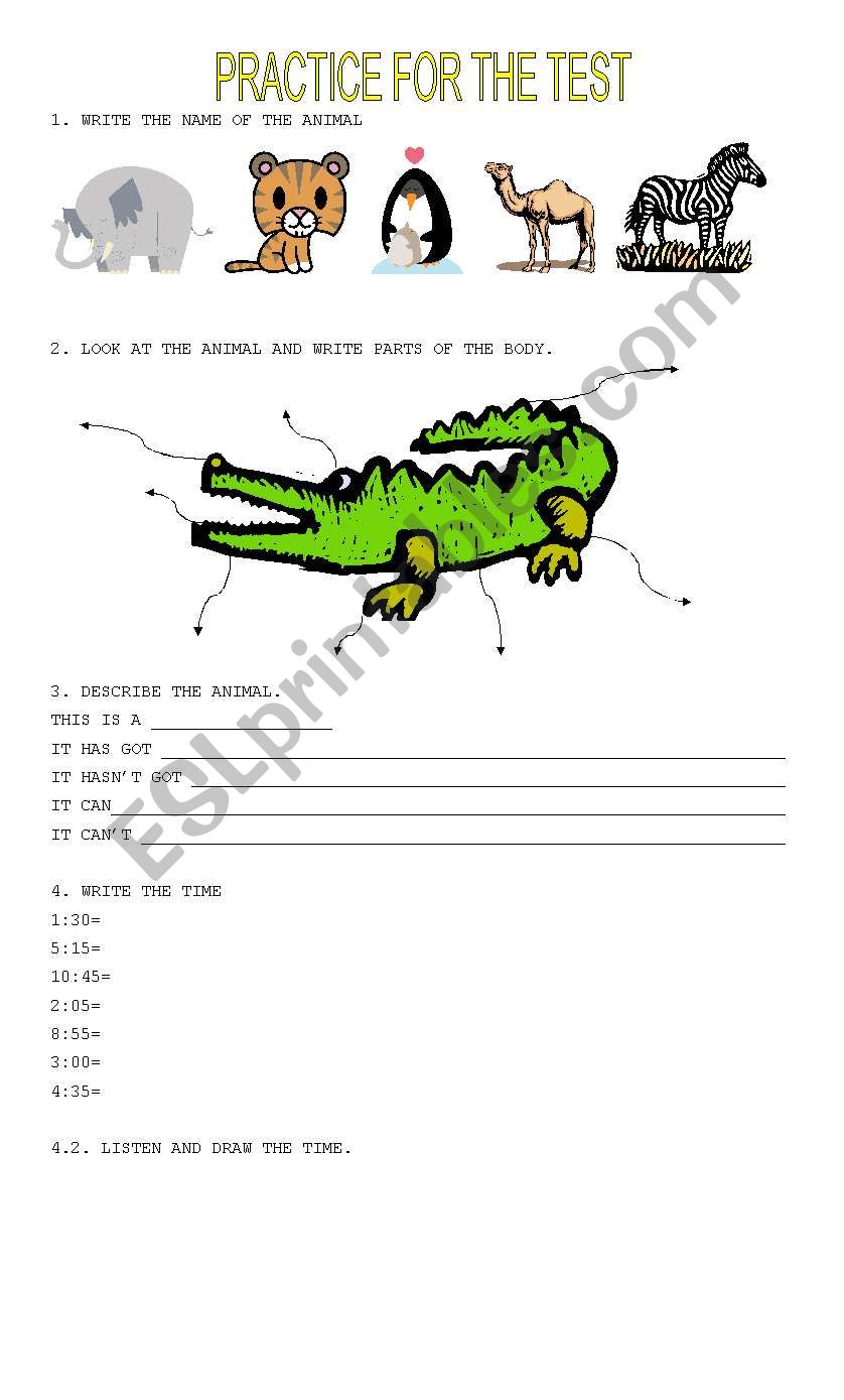 animals worksheet