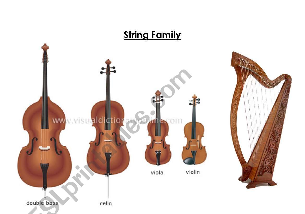 Musical Instruments - String Family