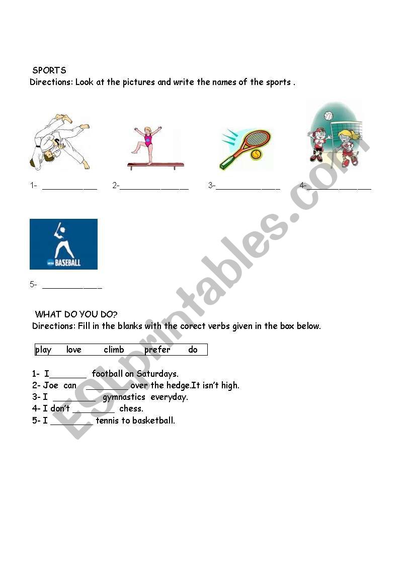 sports worksheet