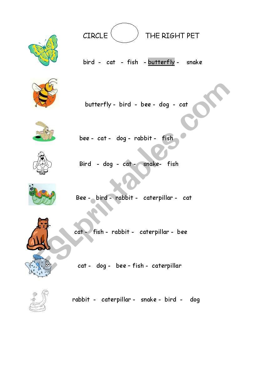 choose the right pet worksheet